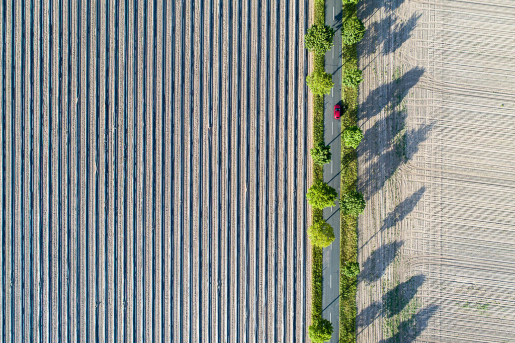 Spargelanbau bei Buchholz an der Aller, Niedersachsen