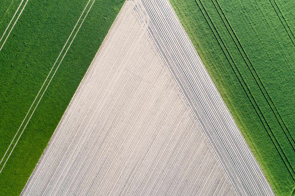 Getreidefeld bei Egestorf, Niedersachsen
